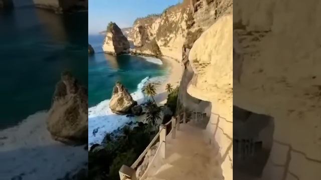 7Я/Колесниковы/Собака для просмотров/Воспитатель и собака