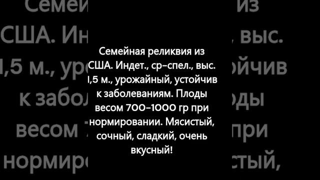 Каталог новых сортов томатов 2023 г. Часть 2. г. Киров. смотреть онлайн