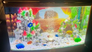 b949fcc4-2bfd-474d-bcb9-71adb14d0592