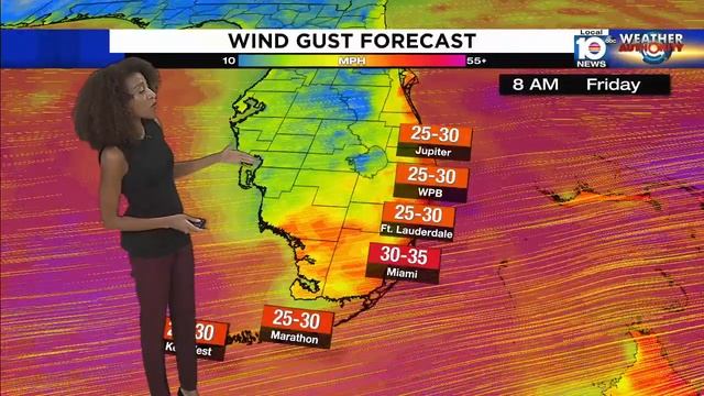 Expect 20-25 mph winds on Saturday in Miami-Dade County смотреть онлайн