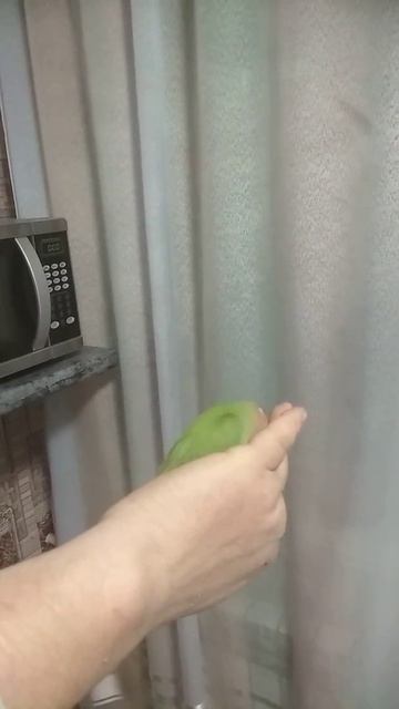 Неразлучник выкормыш смотреть онлайн