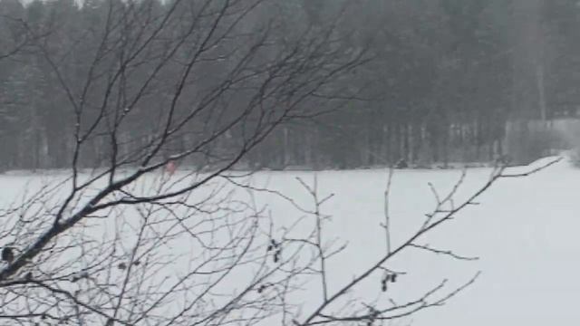 КарелияНадвоицыозероПионерское