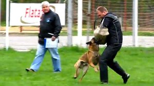 Vyatkins' Glock (ARNO x Bonsai)  - knocks helper down during long attack - BEAUTIFUL!!!
