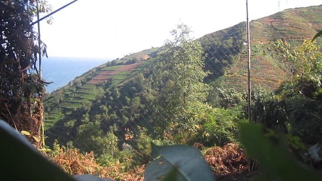 Atmaca yakalama 30 Eylül 2018 Ardeşen Oce ( Yeniyol) смотреть онлайн