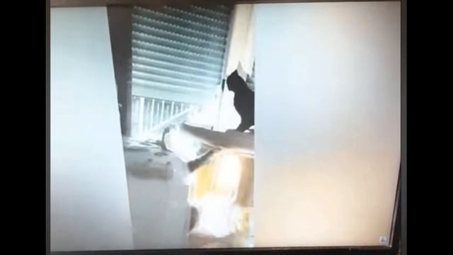 видео комедия 1