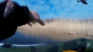 Нерест. Ловля на поплавочную удочку клёв как с пулемёта . Чудское озеро
