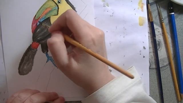 Rainbow toucan bird Watercolor painting and pen Nature Tropical Birds Demonstration смотреть онлайн
