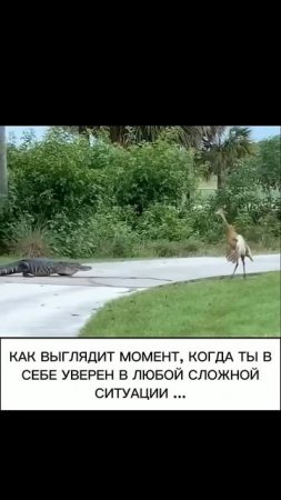 Когда ты уверен в себе.