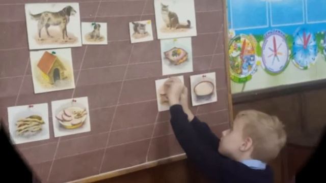 Світ чекає крилатих