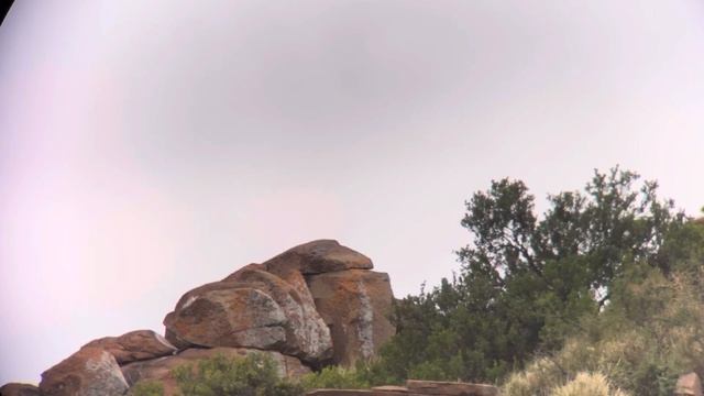 Hunting Baboons in the Eastern Cape | Baboon Hunting смотреть онлайн