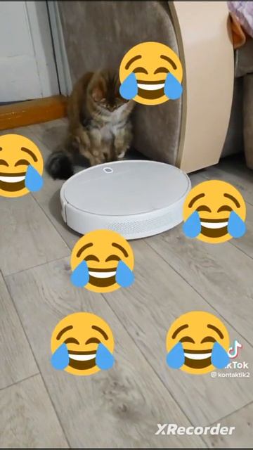 Матовый робот пылесос