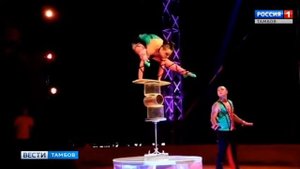 ВестиТамбов. Впервые в Тамбове цирк «Арена-ягуар» с шоу-программой «Полосатый рейс» - Россия Сегодн