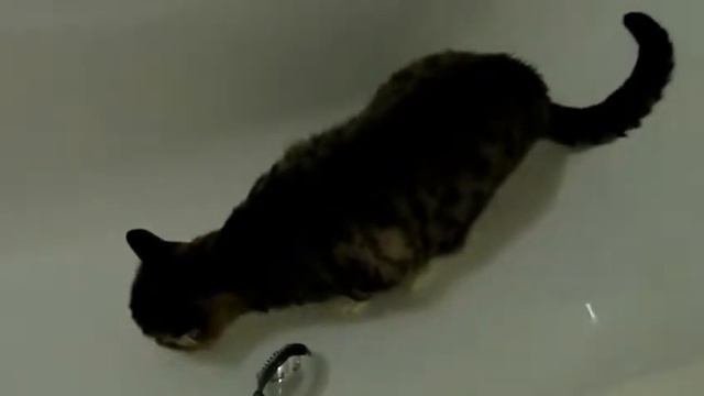 Жажда воды смотреть онлайн