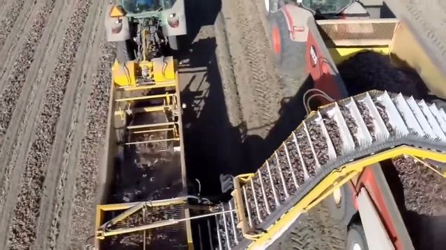 Samon подборщик лука SU2LS смотреть онлайн