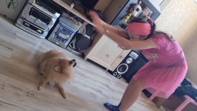 Шпиц Шприц и Вероника! смотреть онлайн