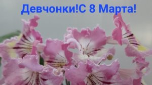 08-03-2025 Поздравляю с 8 Марта!