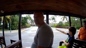 Обзор отеля Барсело Баваро Палас Де Люкс - Доминикана