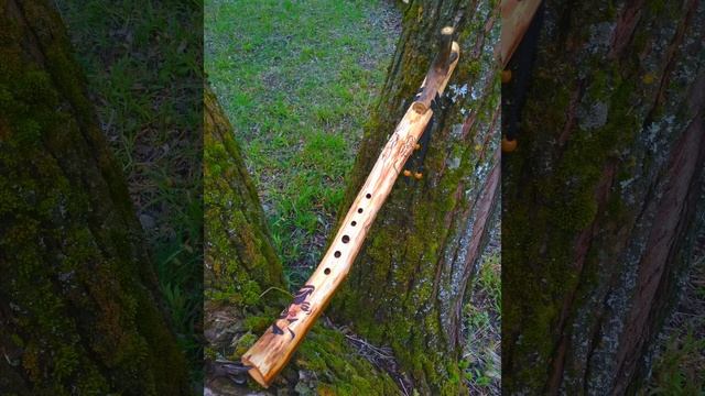 ПимакБлудницаольхаорешник.