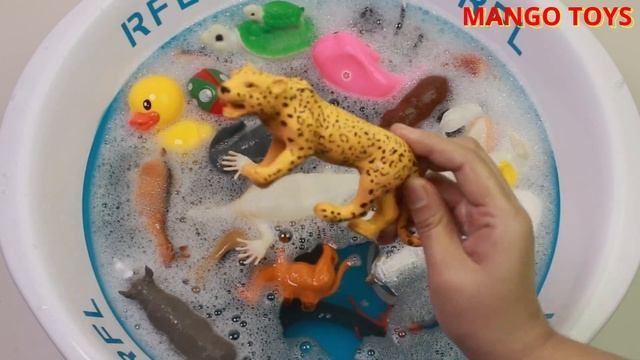 Learn Sea Animals Names and Wild Zoo Animal Names in Baby Bathtub For Kids - Mango Toys смотреть онлайн