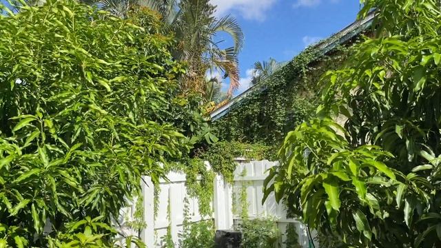 Think Before You Plant Your Fruit Trees