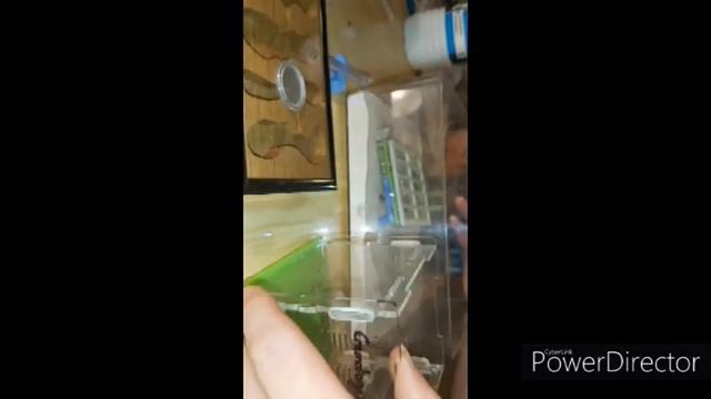 DEMENAGEMENT CREMATOGASTER !!!!! SA TOURNE MAL!!!(en vrai!) смотреть онлайн