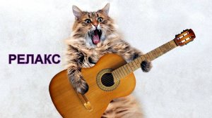 Кот Музыка Гитара Фортепиано Медитация - 300 минут релаксации.