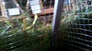 Клетки для кроликов своими руками.Обзор 2.