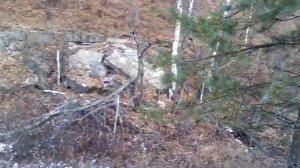 У Имангулово