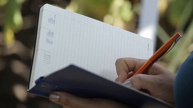 день поля смотреть онлайн