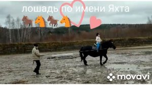 Абонемент 2 ездила на лошади Яхта 😘😘😍😍🐴🐎🐴🐎🐴🐎🤗