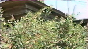 А.А.Урмеев (зав.клубом).Об истории посёлка СТАРОТИМОШКИНО.