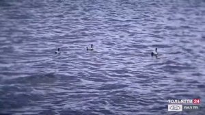 Прогулка по Тольятти 3