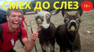 ✔️ СМОТРЕТЬ ПРИКОЛЫ 2025 ЛУЧШИЕ !!!🤪🤣😅