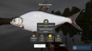 Русская рыбалка 4-волхов-белоглазка троф..запись 25.02.2025г