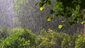 Весеннее настроение