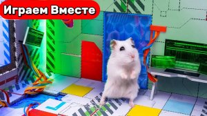НОВЫЙ супер современный ЛАБИРИНТ С ЛОВУШКАМИ для Умного Хомяка ! Видео для детей