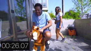 $1 HORSE VS $300 ZEBRA RACE! (PONY RACE)