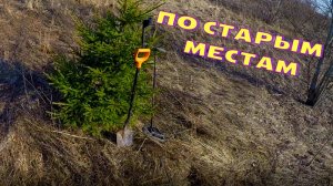 Коп 2025. По старым местам