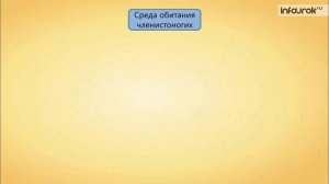 52. Органы выделения