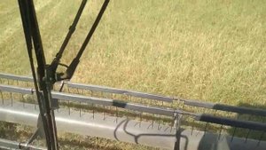 Уборка травы на семена.