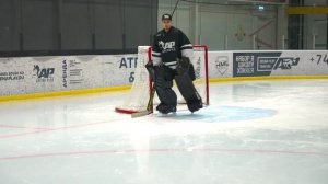 ТРЕНИРОВКА ВРАТАРЯ | ИГРА КЛЮШКОЙ | ВЫХОДЫ И ПЕРЕДАЧИ | ОСТАНОВКА ШАЙБЫ