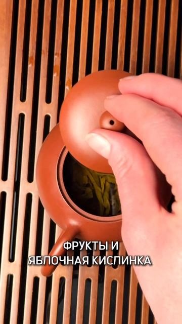 ДАОДЭ I "Раз, два, три — Шен Пуэр оживи!" смотреть онлайн