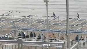 Анапа сегодня. Малая Бухта. 09.03.25⛱️