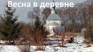 Деревня в марте// хорошая погода// наши потери саженцев.