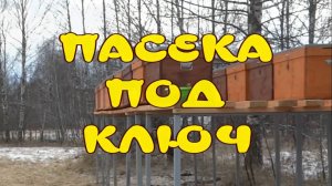 ПАСЕКА ПОД КЛЮЧ. ЗАКАЗ НА 20 ЛЕЖАКОВ ДЛЯ НОВОЙ ПАСЕКИ