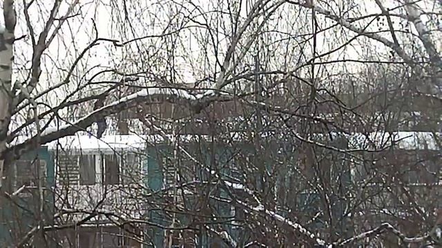 Уборка наледи и снега ЛЮБЕРЦЫ смотреть онлайн