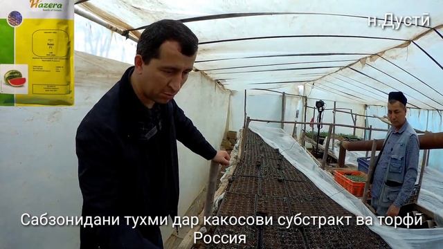 Сабзонидани тухми дар кокосови субстракт ва торфӣ Россия бо усулҳои нав. смотреть онлайн