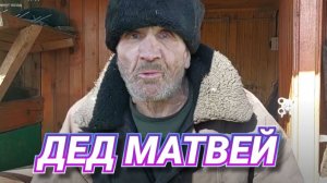 ДЕД МАТВЕЙ СКАЛОЛАЗ . ЗАЧЕМ ПРИЕЗЖАЛА ПАРА  ( ГУСЬ И ГАГАРА )