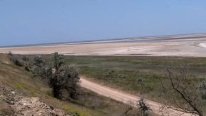 Экологическая катастрофа в Молочном лимане