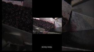 Рекламный видео ролик ягоды Карелии